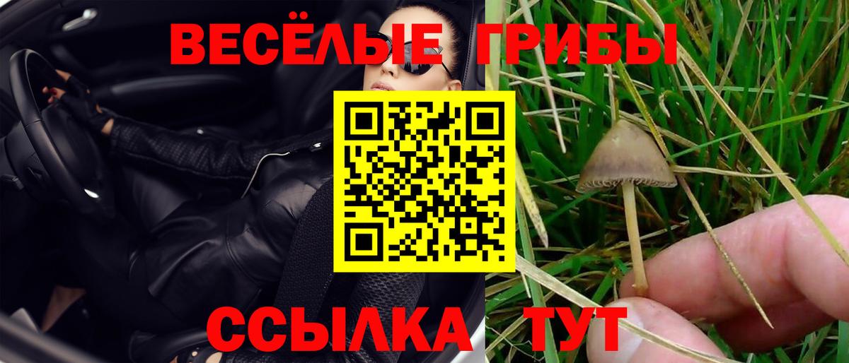 Псилоцибиновые грибы мухоморы Калининград
