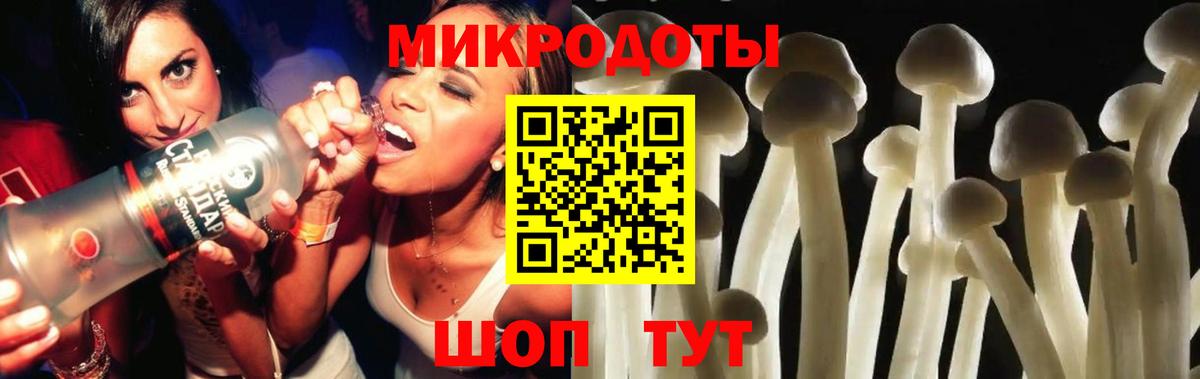 Галлюциногенные грибы Psilocybe  Галлюциногенные грибы мицелий  Вход с VPN  Калининград 